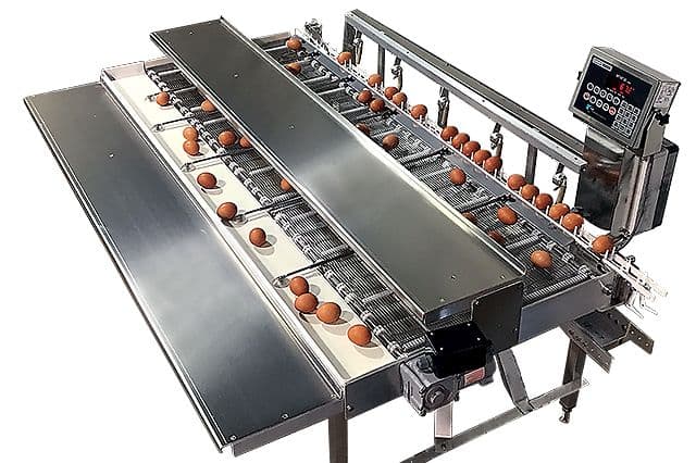 CASE STUDY: Cardinal Indicator Egg Sorting Application