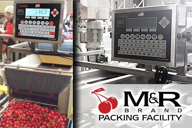 CASE STUDY: M&R Packing