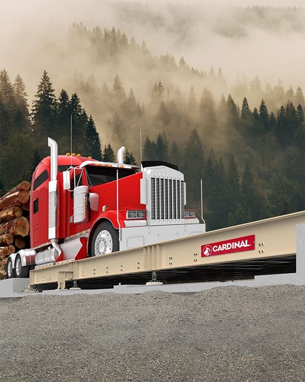 Olympus Concrete Deck Truck Scales with AC Analog Load Cells