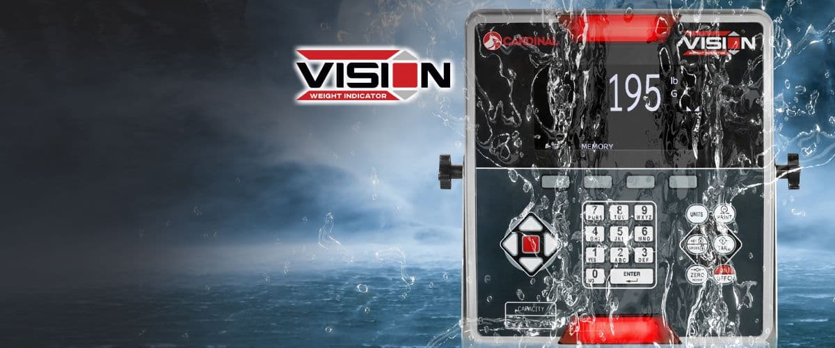 195 Vision