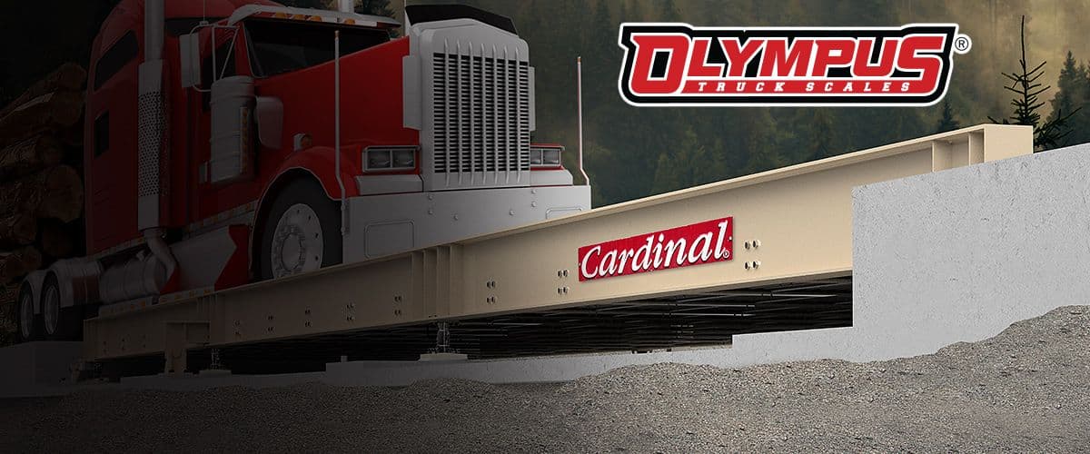 Olympus Concrete Deck Truck Scales with AC Analog Load Cells